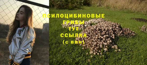 молекула духа Киренск