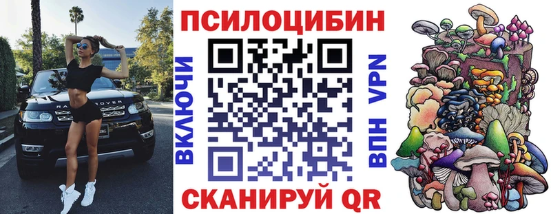 Псилоцибиновые грибы Psilocybine cubensis  Купить закладки  Горно-Алтайск 